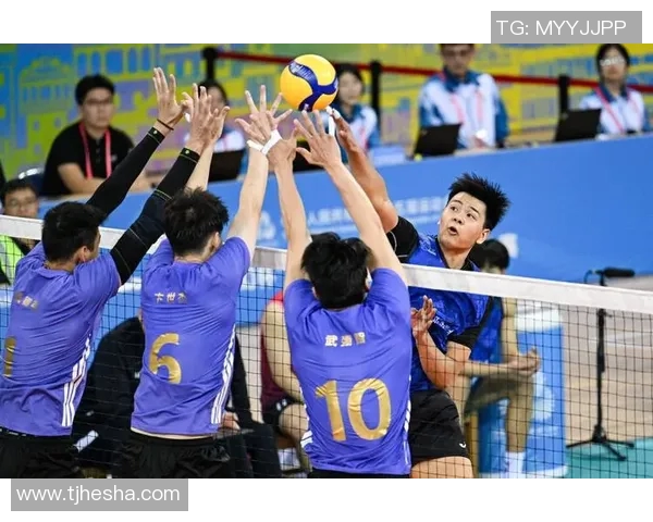 上海排球队心理素质夺冠排球心理素质排行榜揭晓